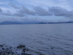 -深圳湾公园(南山区)