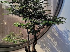 -晟永興烤鸭店(五道口店)