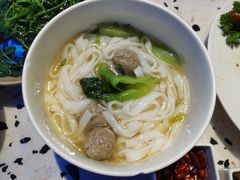 -MR鹅外