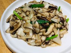 -蒙料·手把肉(望京店)
