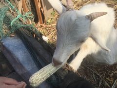 -乡乐园蟹庄·阳澄湖农家乐