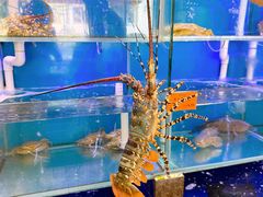 -好彩海鲜火锅饭店(银河百老汇店)