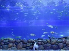 -华夏文旅海洋公园