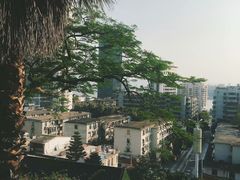 -鸿山公园