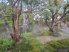 -Chom Cafe and Restaurant