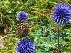 -白草畔自然风景区