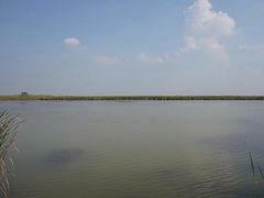 -盐城丹顶鹤湿地生态旅游区