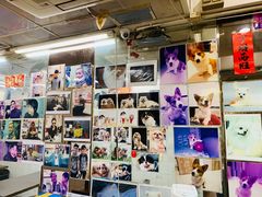 -新记餐厅(香槟大厦店)