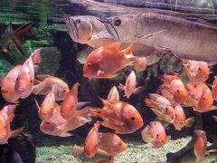 -太平洋海底世界