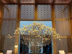 大堂-养云安缦·廊