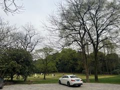-杭州植物园
