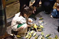 -酷嗒动物文化乐园(cutezoo西溪乐天城店)