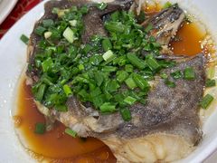 鸦片鱼头-红灯笼龙凤饭店(宁波老字号店)