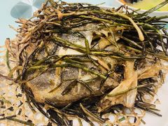 -新吉士·上海菜(浦东LCM置汇旭辉店)