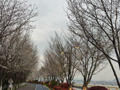 -滨江生态公园