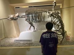 -国家自然博物馆