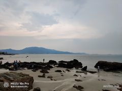 -杨梅坑