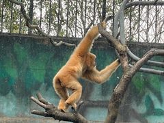 -宁波野生动物园