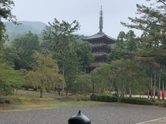 -醍醐寺