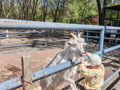 -长白岛森林公园