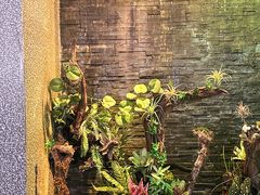 -泰适SPA馆丨精油·按摩·足道(后海地铁口店)