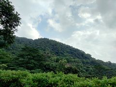 -火炉山森林公园