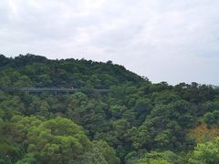 -福道