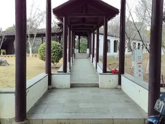 -八大山人梅湖景区