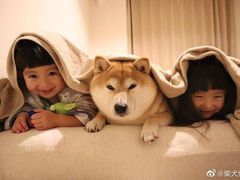 -鑫梦桌游谋杀之谜剧本杀俱乐部(联合商厦店)