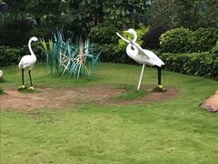 -美的鹭湖森林度假区
