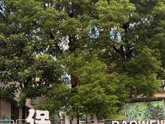 -星城之眼摩天轮