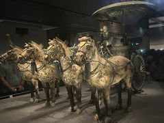 -秦始皇帝陵博物院(兵马俑)