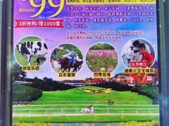 -迪茵湖田家舍生态农场