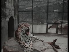 -龙口动植物园