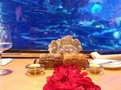 -迪拜帆船酒店海底餐厅