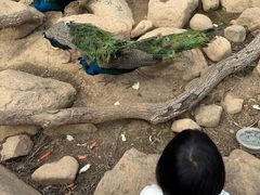 -无锡动物园·太湖欢乐园