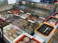 -广东名门