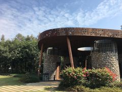 -顺峰山公园