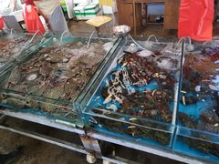 水产区-重振华中蔬菜批发市场(重庆中路店)