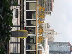 -珠江夜游省总码头