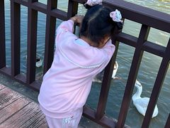 -厦门悦华酒店