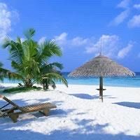 -薇兰专业脱毛连锁机构