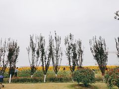 -映月湖中央公园