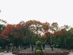 -乌素图国家森林公园