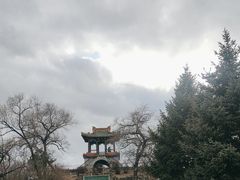 -龙沙公园