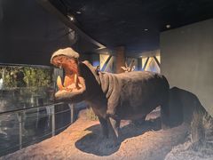 -天津自然博物馆