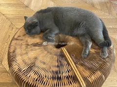 -Me Coffee下午茶艺术空间