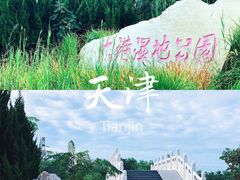 -大港湿地公园