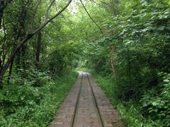 iphone_upload_pic-五营红松林海景区