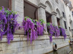 -华谊兄弟（长沙）电影小镇